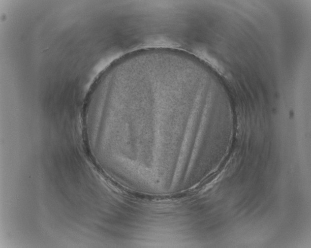 X0000071861264200607211908