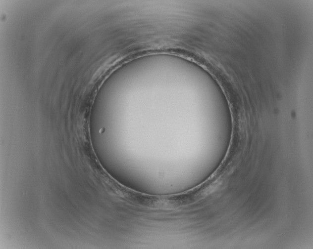 X0000071861265200607211908