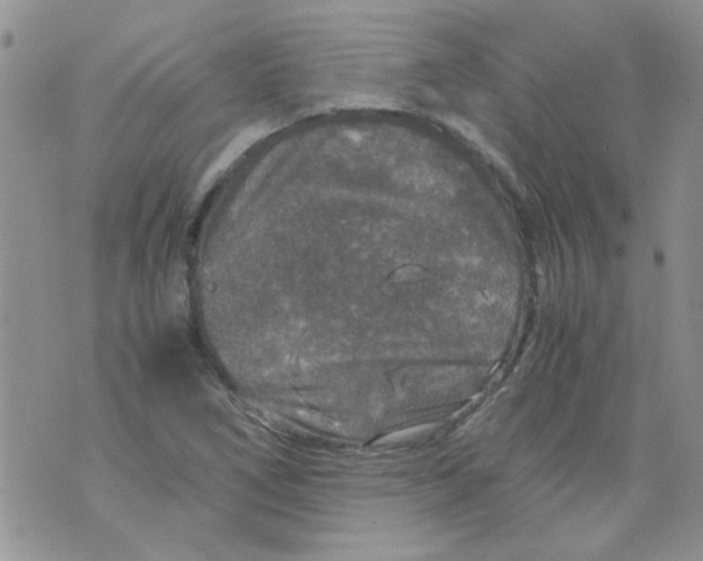 X0000071861266200607211908