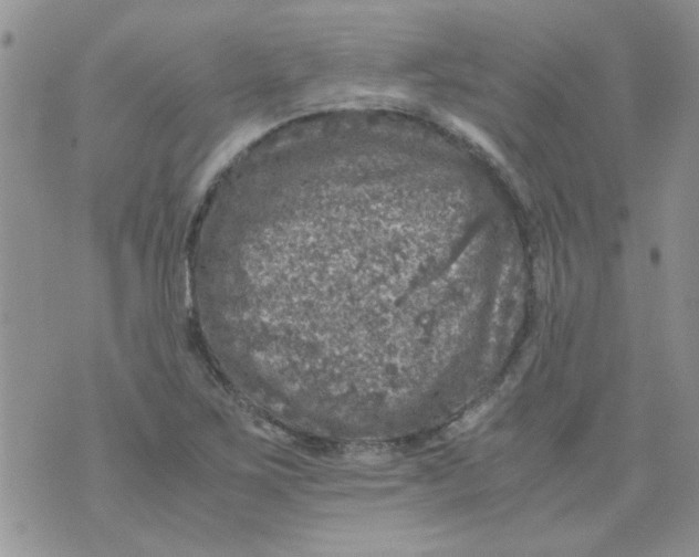 X0000071861267200607211908