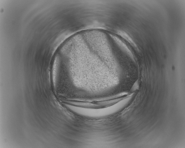 X0000071861268200607211908