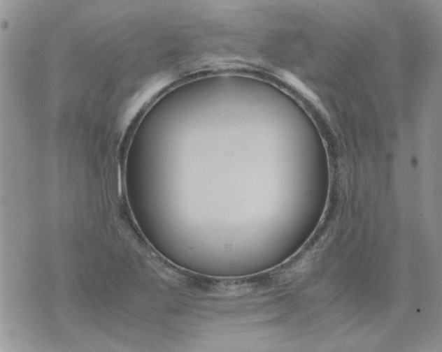 X0000071861269200607211908