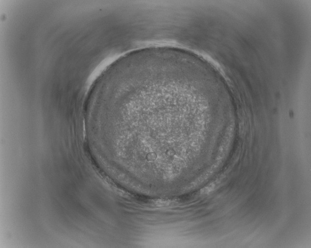 X0000071861271200607211908