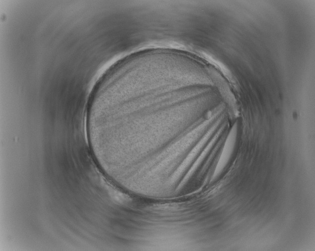 X0000071861272200607211908