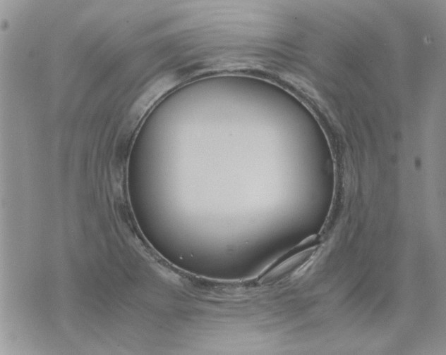 X0000071861273200607211908