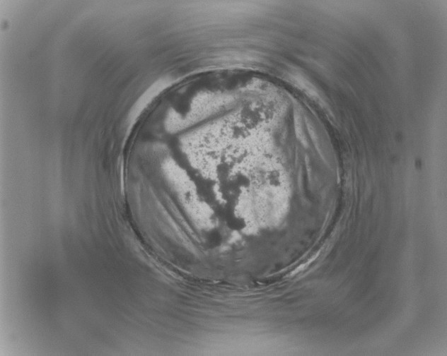 X0000071861275200607211908