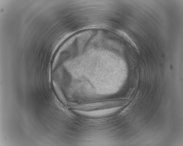 X0000071861276200607211908