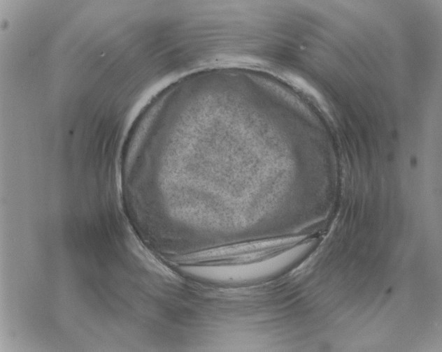 X0000071861280200607211908