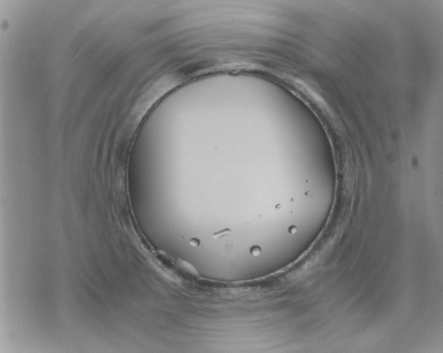 X0000071861281200607211908