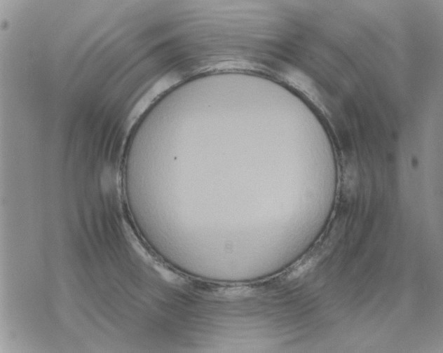 X0000071861282200607211908