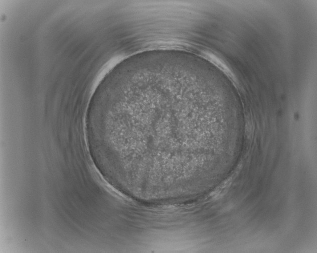 X0000071861283200607211908