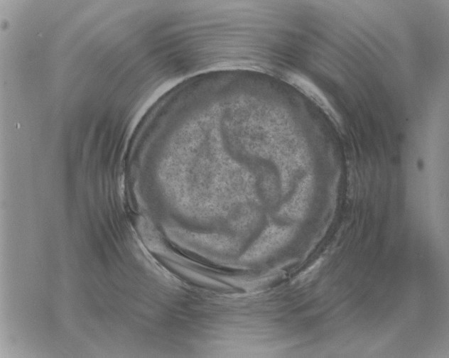 X0000071861284200607211908