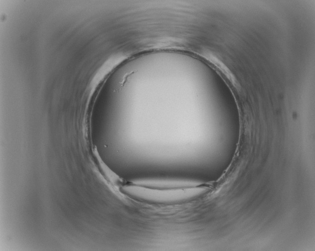 X0000071861285200607211908