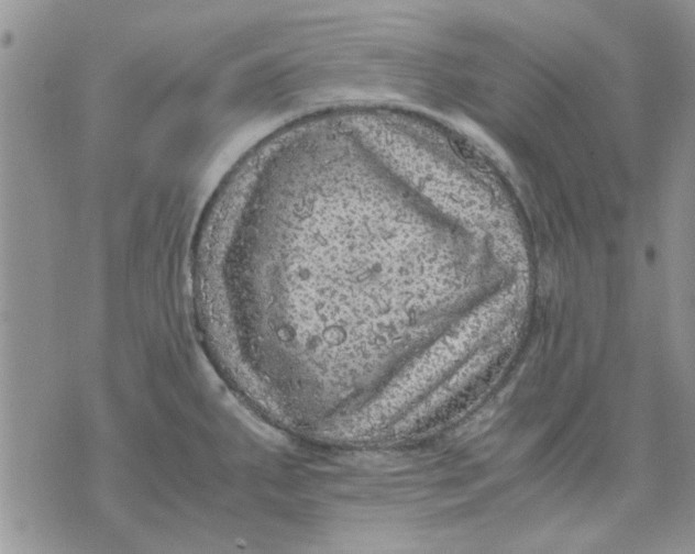 X0000071861287200607211908