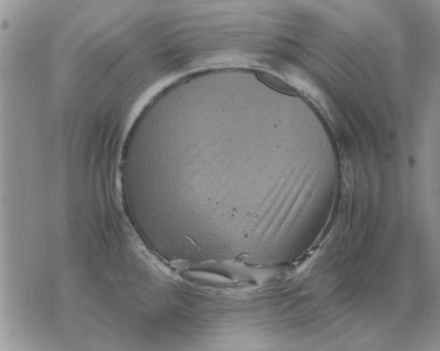 X0000071861288200607211908