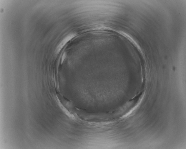 X0000071861289200607211908