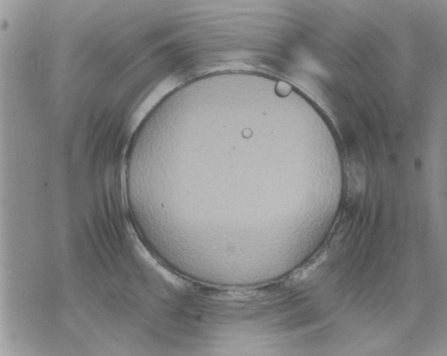 X0000071861290200607211908