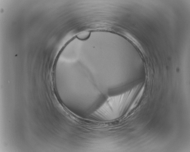 X0000071861291200607211908