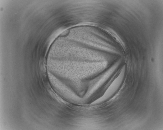 X0000071861292200607211908