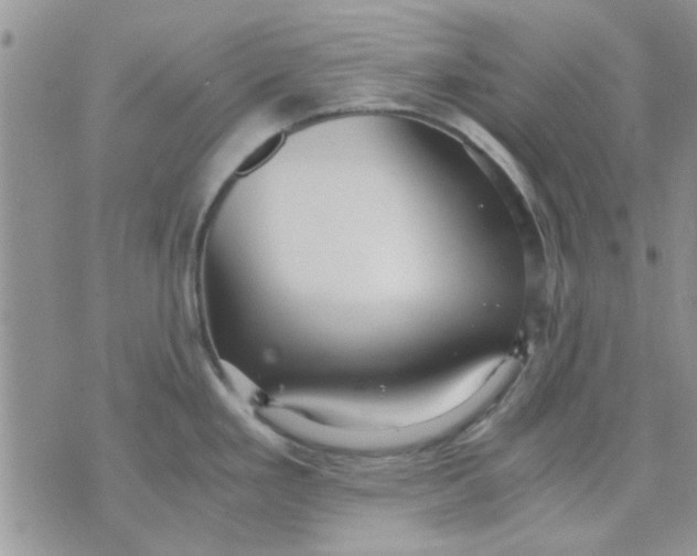 X0000071861293200607211908