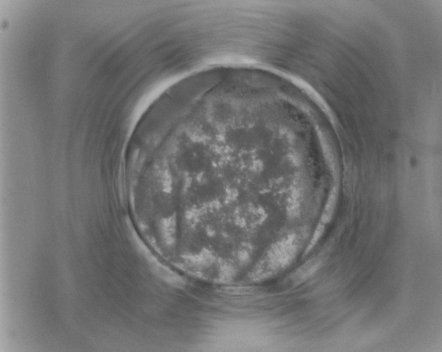 X0000071861295200607211908