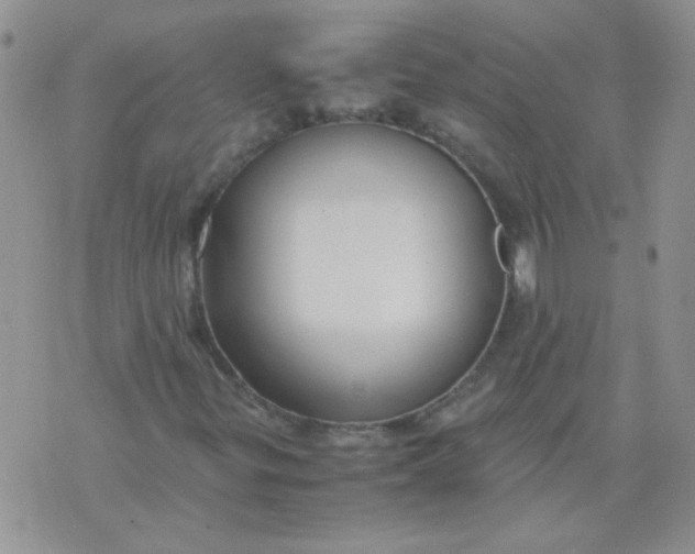 X0000071861299200607211907