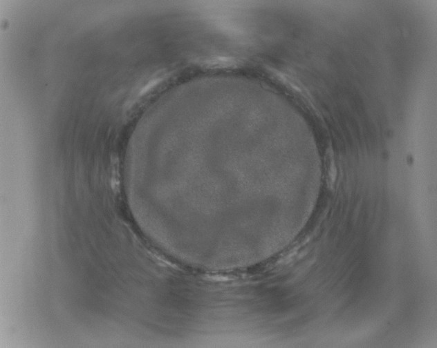 X0000071861301200607211907