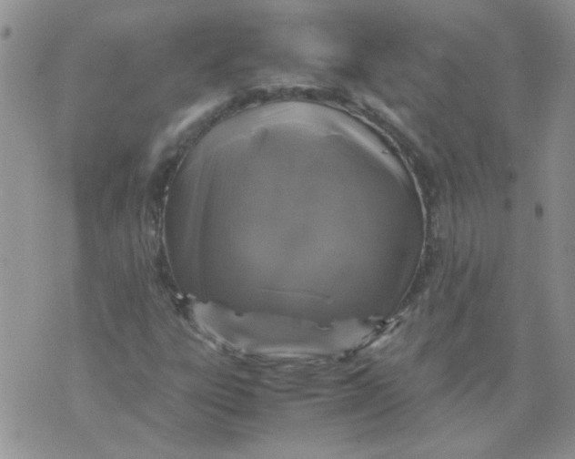 X0000071861303200607211907