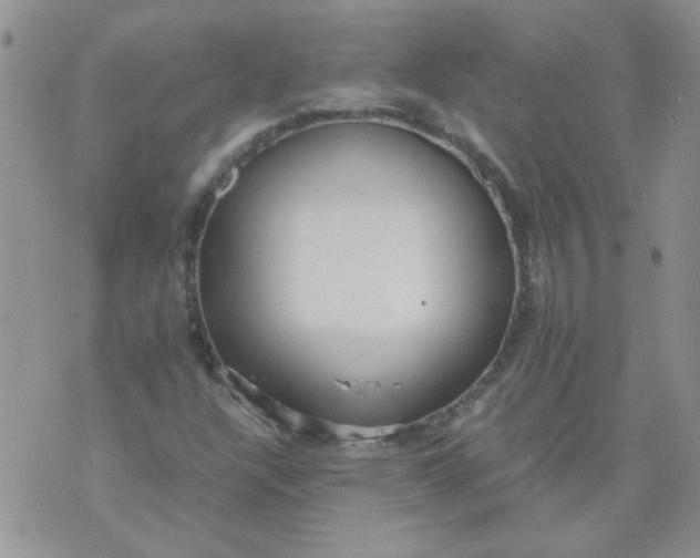 X0000071861304200607211907