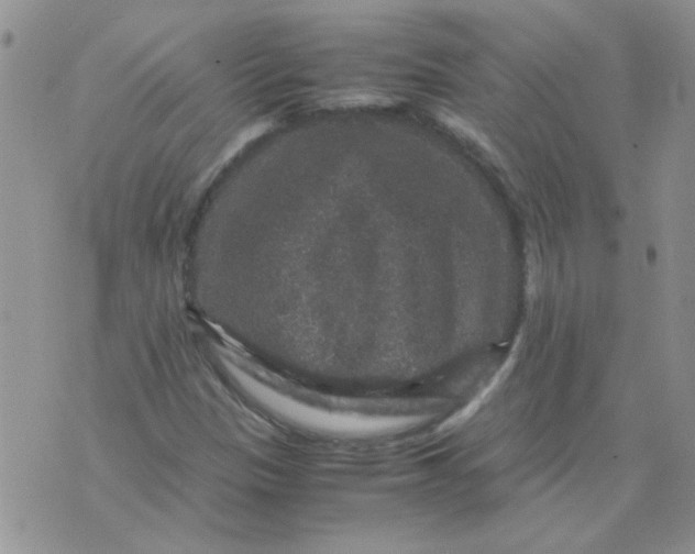 X0000071861305200607211907