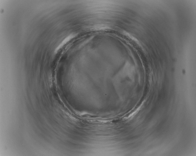 X0000071861306200607211907