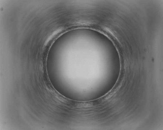 X0000071861307200607211907