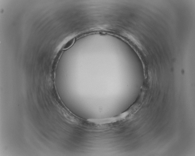 X0000071861308200607211907