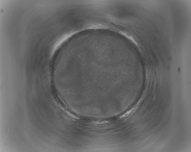 X0000071861311200607211907