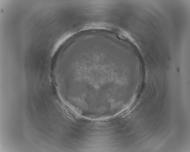 X0000071861312200607211907