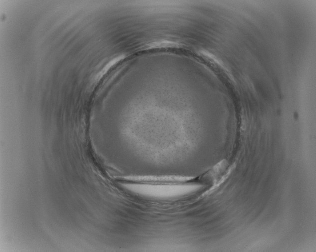 X0000071861313200607211907