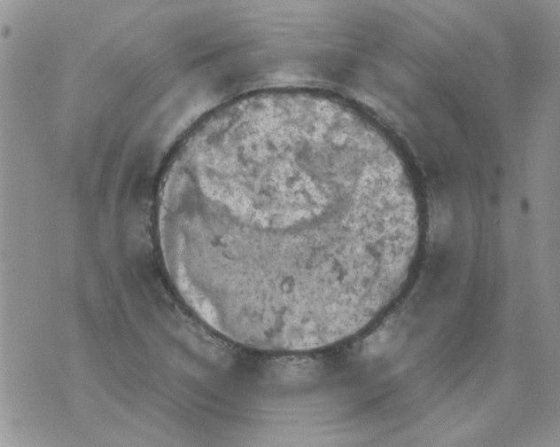 X0000071861314200607211907