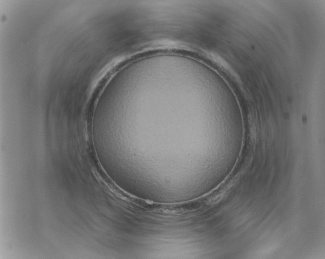 X0000071861318200607211907