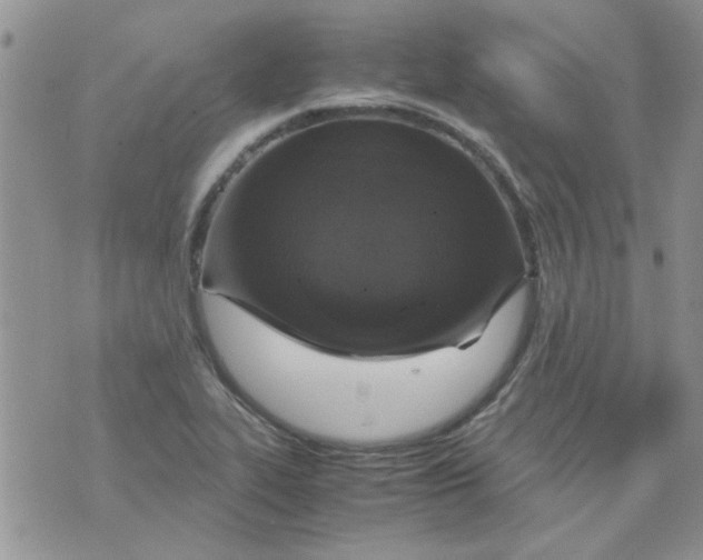 X0000071861319200607211907