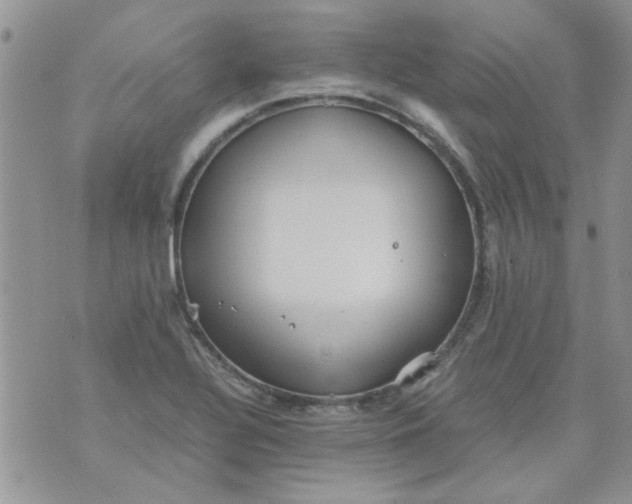 X0000071861320200607211907