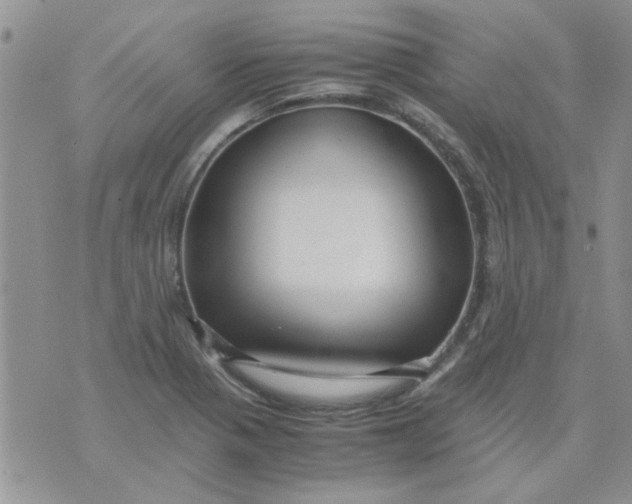 X0000071861321200607211907