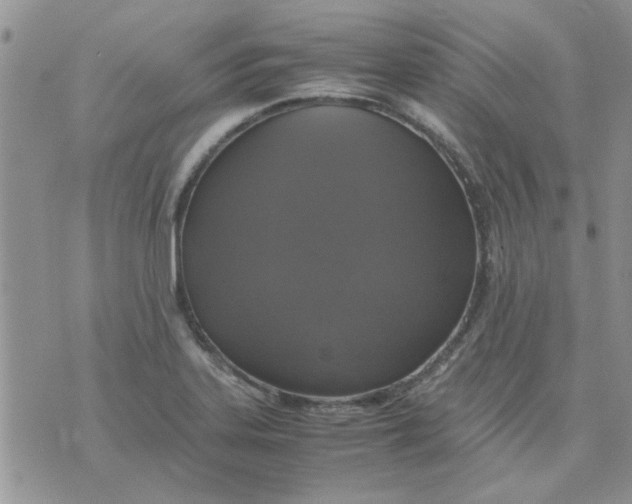 X0000071861323200607211907