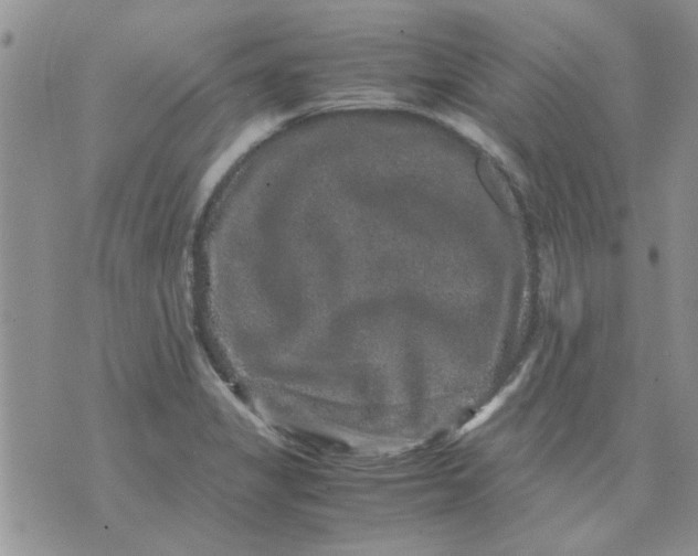 X0000071861325200607211907