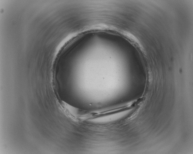 X0000071861326200607211907