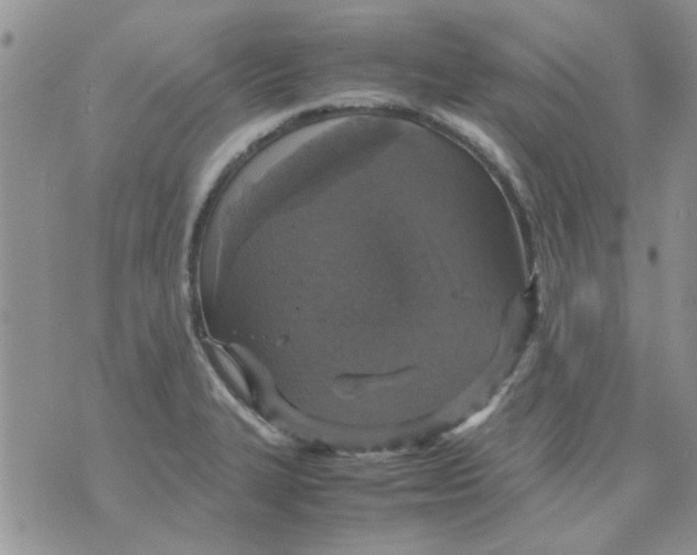 X0000071861327200607211907