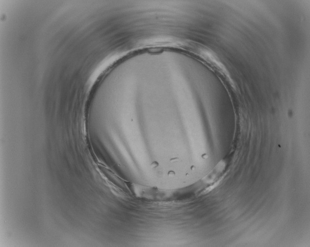 X0000071861328200607211907