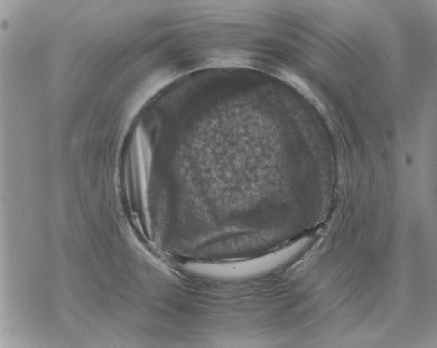 X0000071861331200607211907