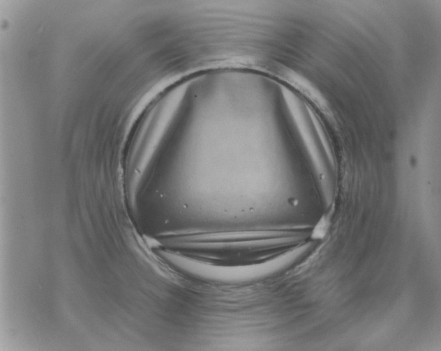 X0000071861332200607211907