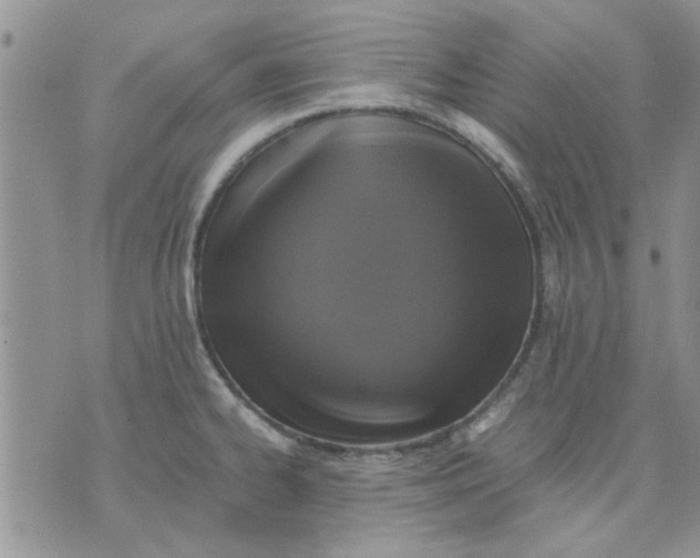 X0000071861334200607211908