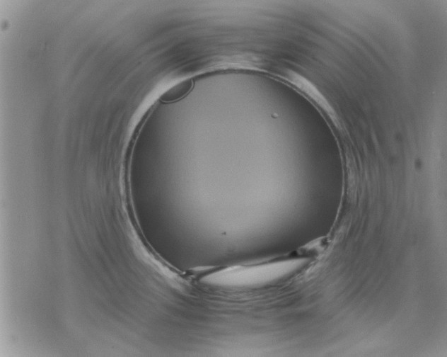 X0000071861339200607211908